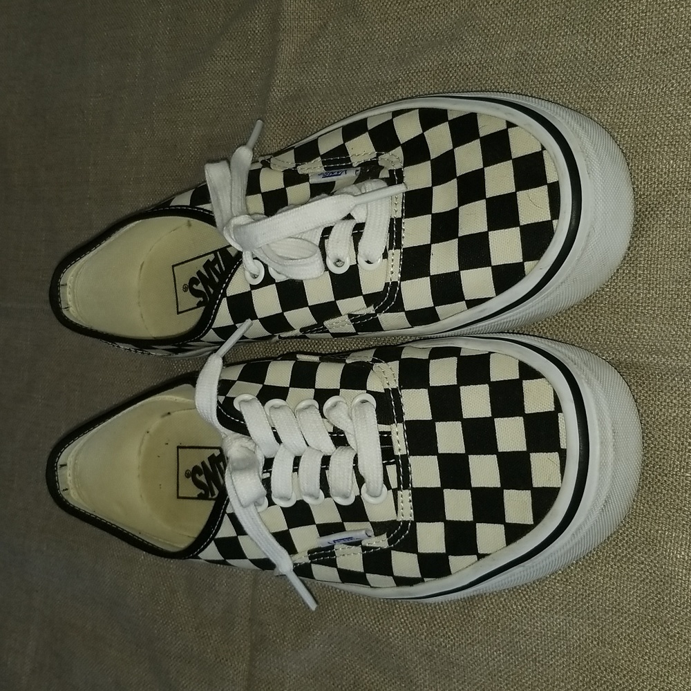 Van's classic checkerboard skate shoe